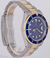 Rolex Submariner Blue en internet