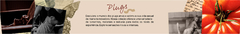 Banner da categoria PLUGS