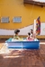 Imagem do Piscina Infantil 1000L Metal