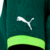 Camisa do Palmeiras I 2023/24 - Jogador Masculino - Verde - loja online