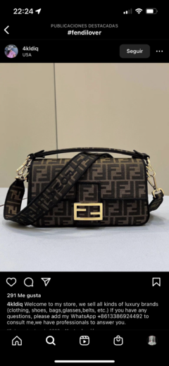 FENDI baguette en internet