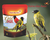 Pintassilgo Gold Mix 500g - Reino Das Aves - Império das Aves