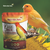 Kit 2un Canario Do Reino Gold Mix 500g - Reino Das Aves - loja online