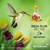 Nectar Para Beija Flor Pote 250g - Reino Das Aves - Império das Aves