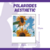 Polaroide Aesthetic | Vários Modelos - comprar online