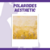 Polaroide Aesthetic | Vários Modelos - loja online