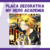 Placa Decorativa Denki Kaminari - My Hero Academia | 10x10 e 15x15 na internet