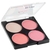 Paleta de Blush RK BY Kiss Bare Blusher Livin' Bare na internet