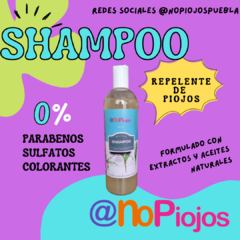 Shampoo