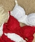 CONJUNTO DE LINGERIE AGATA na internet