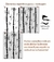 Bambu Floresta- Stencil de Parede 60×40 cm na internet
