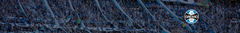 Banner da categoria Grêmio