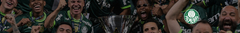 Banner da categoria Palmeiras
