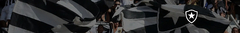 Banner da categoria Botafogo