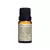 Essência Clássica Via Aroma SWEET GINGER - 10ml na internet