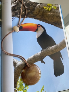 Cordão Tucano