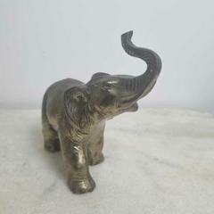 Elefante em peti bronze na internet