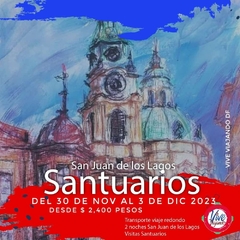 Vive San Juan de los Lagos