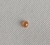 GYK27 - Expessatita Laranja - Oval - T. 7x5.0mm - Real Gemas Oficial