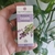 Óleo Essencial de Lavanda (gt França) - 10ml