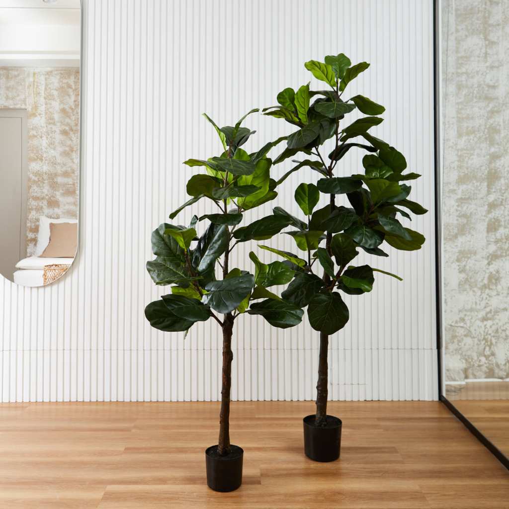 Ficus Lyrata artificial - Elegantes hojas y 3 troncos