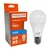 LAMPADA BULBO LED 15W 6,5K E27 BIVOLT - comprar online