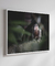 Quadro Decorativo Macaco Sagui 02 - comprar online