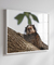 Quadro Decorativo Macaco Sagui 03 - comprar online