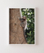 Quadro Decorativo Macaco Sagui 01 - comprar online