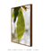 Quadro Abacateiro 05 - comprar online