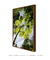 Quadro Decorativo Embaúba 02 - comprar online