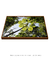 Quadro Decorativo Embaúba 011 - comprar online