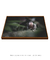 Quadro Decorativo Macaco Sagui 02 - comprar online