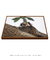 Quadro Decorativo Macaco Sagui 03 - comprar online