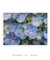 Quadro Flores 01 - loja online