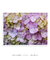 Quadro Flores 02 - loja online