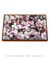 Quadro Flores 03 - comprar online