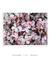 Quadro Flores 03 - loja online