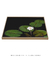 Quadro Flores 05 - comprar online