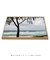 Quadro Praia do Moçambique 07 - comprar online