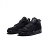 Air Jordan 4 Black Cat