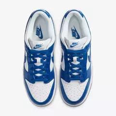 Nike Dunk Low Kentucky na internet