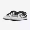 Nike SB Dunk Low VX 1000 Camcorder