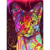 Pintura De Diamante Gatito Colores 40 x 30 Kit Diamond Painting Zinker