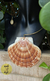 Gargantilha Concha Shell - comprar online