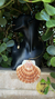 Gargantilha Concha Shell - loja online