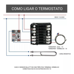 Controlador de temperatura RKC REX-C900-FK07-V-AN na internet