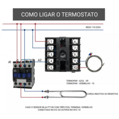 Controlador de temperatura RKC REX-C100-FK07-M-AN na internet