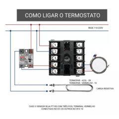 Controlador de temperatura RKC REX-C100-FK07-V-AN na internet