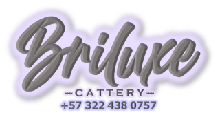 Briluxe Cattery CatShop